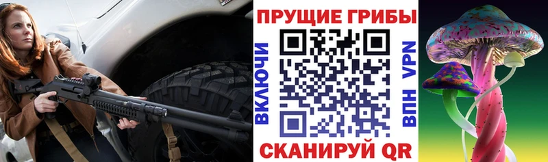 Галлюциногенные грибы Magic Shrooms  где купить   Москва 